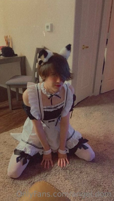 angel dom hot star gallery