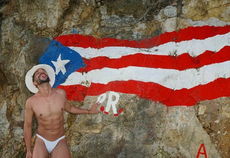 the famous frank top model gallery