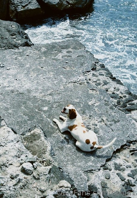 helga1 hot model galleries