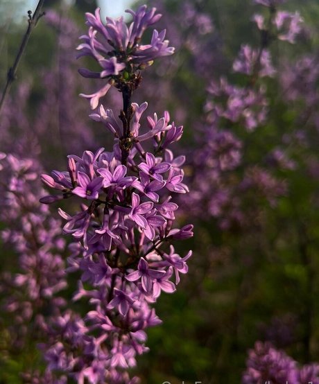 helga1 sexy actress pic