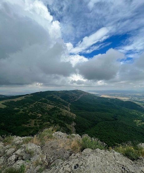 helga1 pornstar art archive