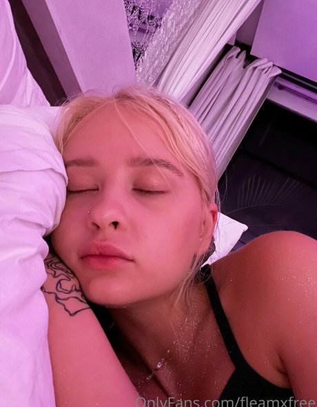 fleamxfree pornstar high quality galleries