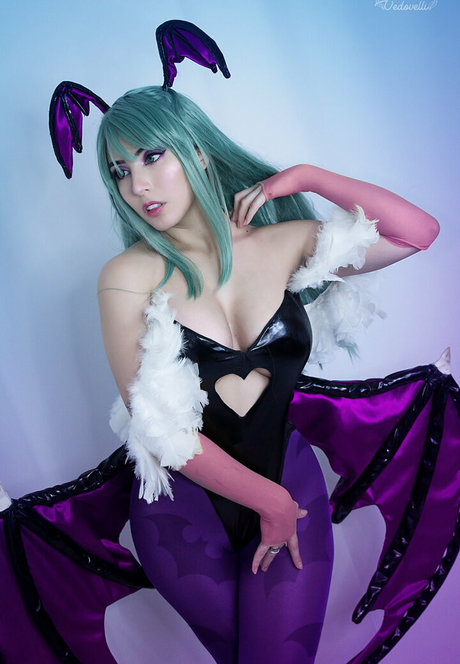 danievedo free star xxx galleries