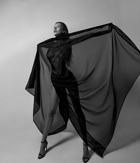 Voronina best model archive