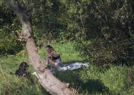 Amateur Voyeur actress gallery