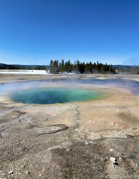 Alexchov hd star pictures