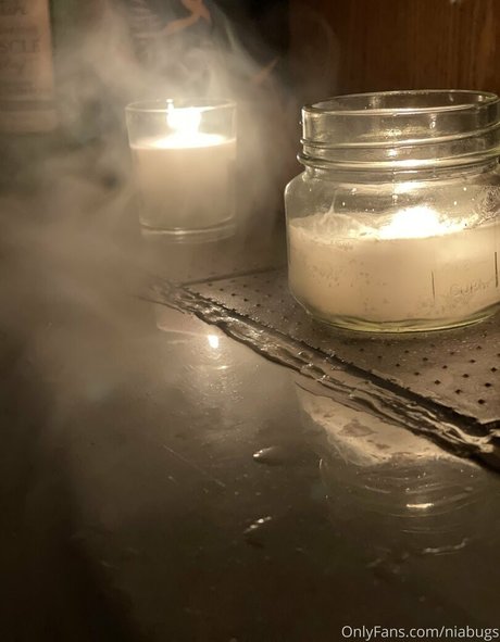 niabugs Quick model image