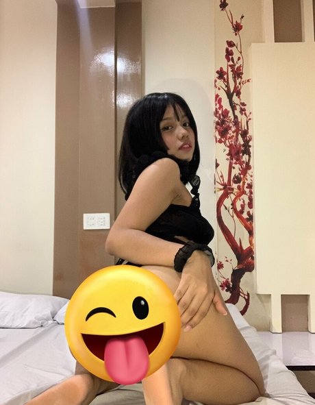 raisoftwi star nice gallery