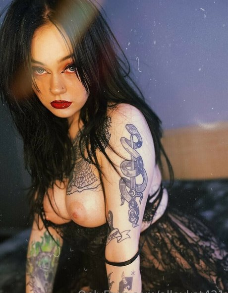 Alleykat pornstar top archive