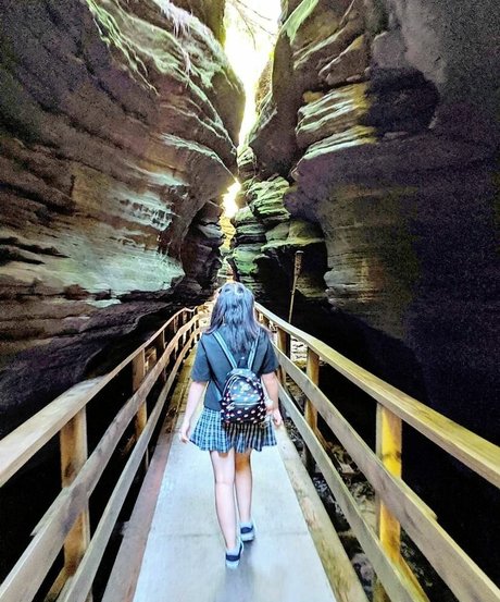 cowtail actress image