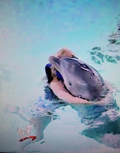 skinny shemale onlyfans sexy image