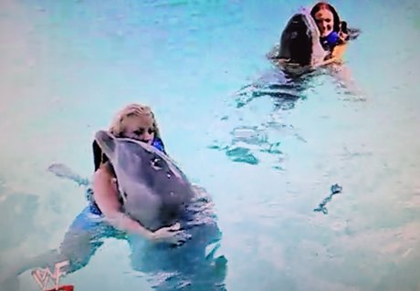 Trish Stratus model pornographic img