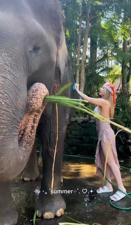 miafitz best model picture