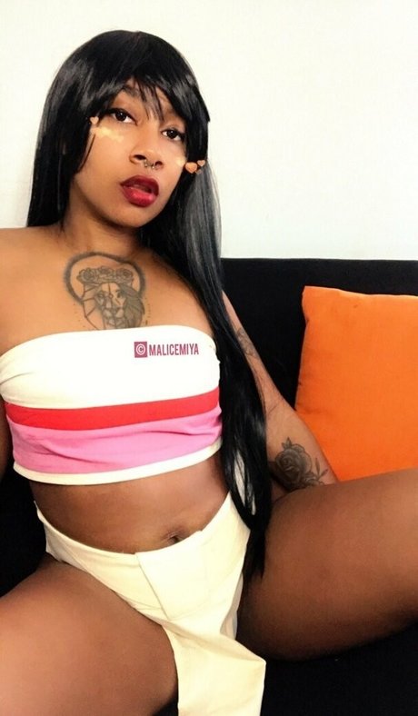 malicemiya star high quality gallery