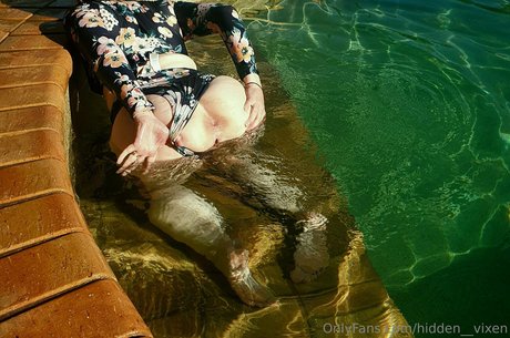 hidden__vixen top pornstar pictures