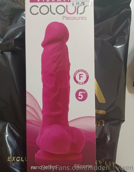 hidden__vixen pornstar perfect gallery