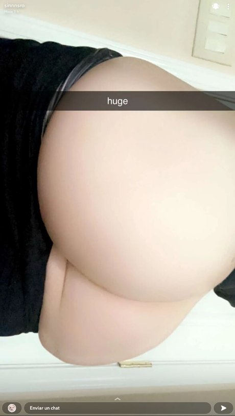 sinnnsro model perfect archive