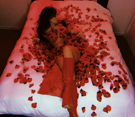 vindylou sex star photos