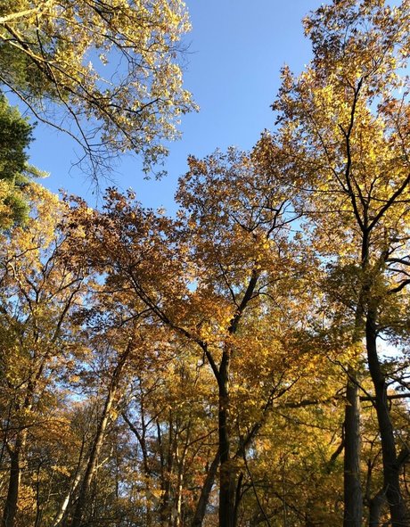 beautiful onlyfans sexy nudes photo