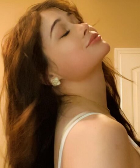 War Hampster xxx model img