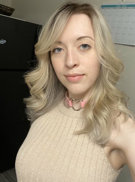 Pjonk model exclusive img