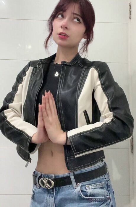 Anto a a high quality model archive