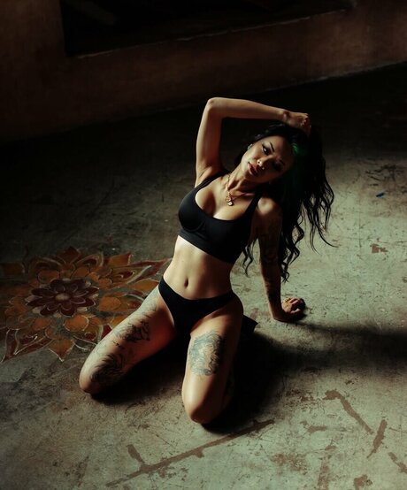 thewickedlady top pornstar image