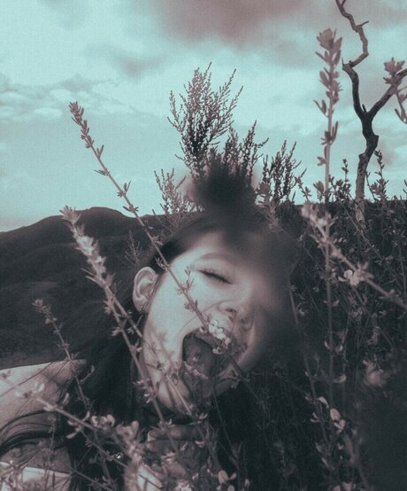 katiielady top star galleries