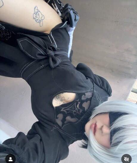 Laurinchhhe star best archive