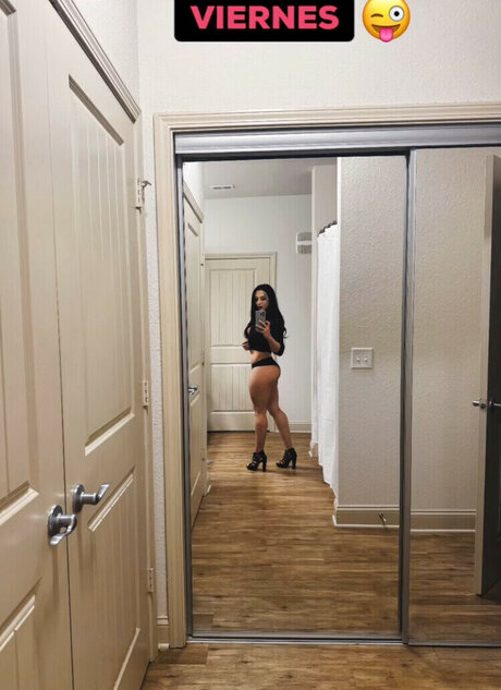 Nyybaybie Bambi top star photos