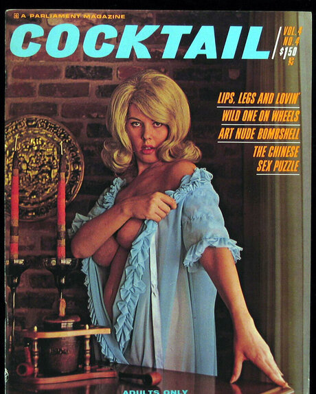 Classic Porn Magazines top model picture
