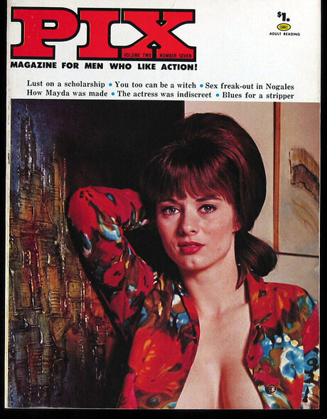 Classic Porn Magazines model sex pic