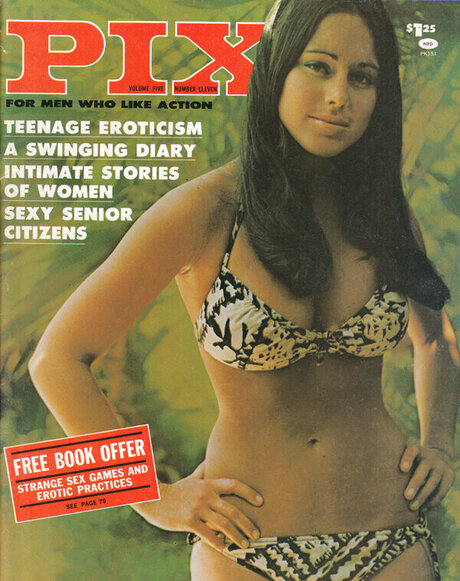 Classic Porn Magazines beautiful actress pictures