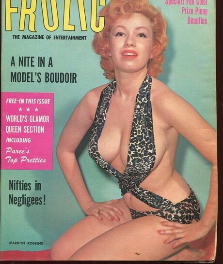 Classic Porn Magazines star beautiful archive