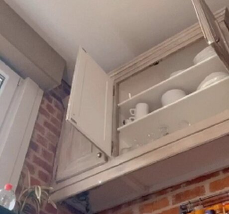 Wille Shauni star erotic archive