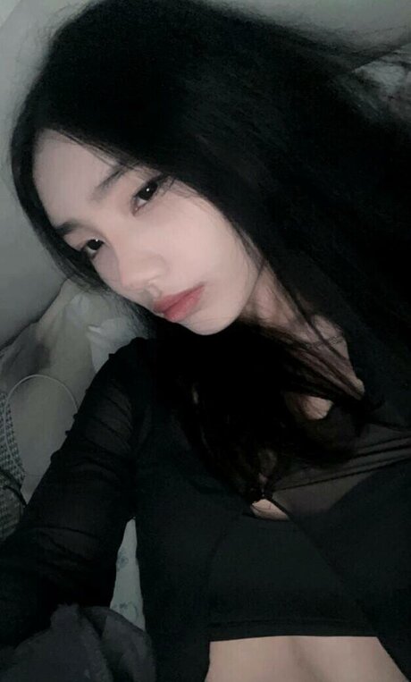 shinoaqi high quality star galleries