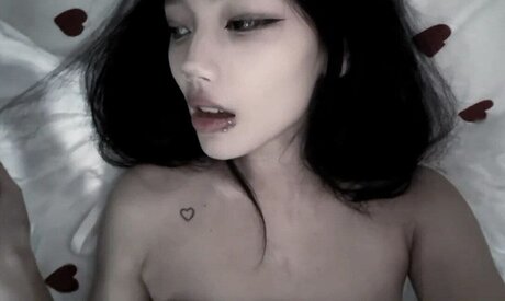 shinoaqi star free image