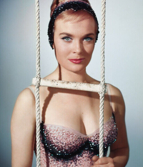 Vintage Sexy Celebs porn star photos