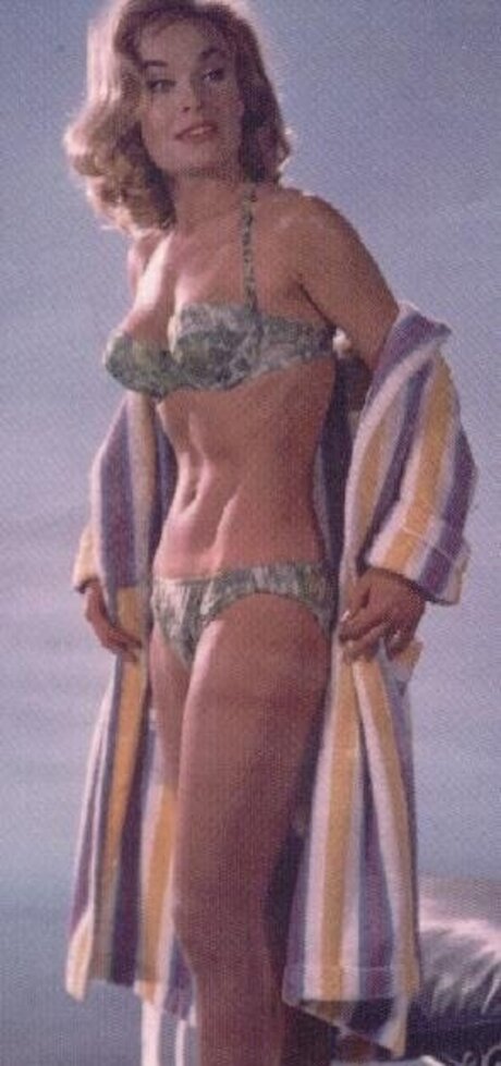 Vintage Sexy Celebs model porn pics