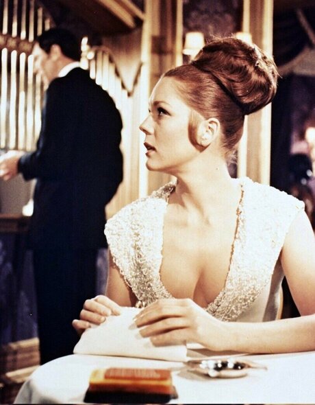 Vintage Sexy Celebs porn model archive