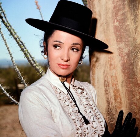 Vintage Sexy Celebs erotic pornstar photo