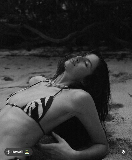 anfr00 star porn images