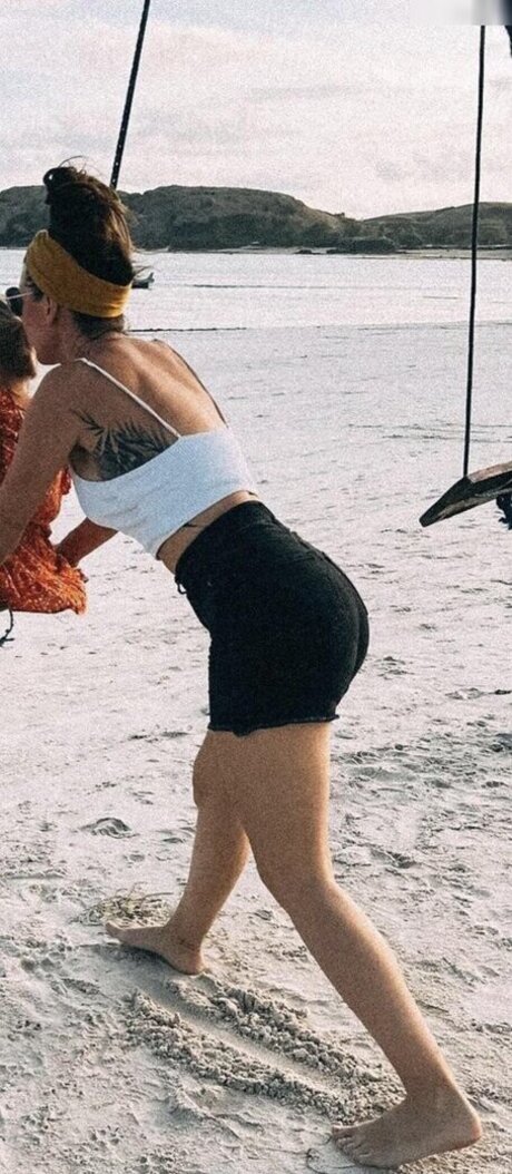 Sabibo art star archive