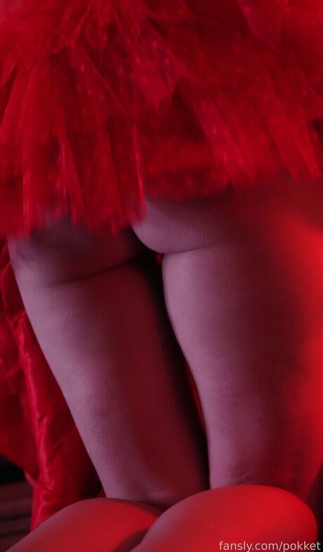 Pokket pornstar best gallery