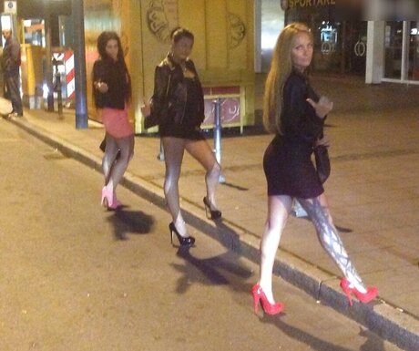 Schwesta Ewa hd pornstar img