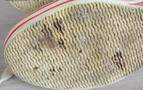 Jamie Kate erotic pornstar gallery