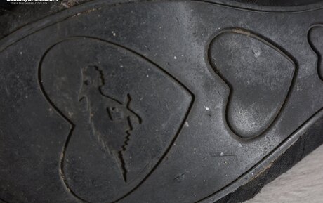 fitnessmodel onlyfans porno pics