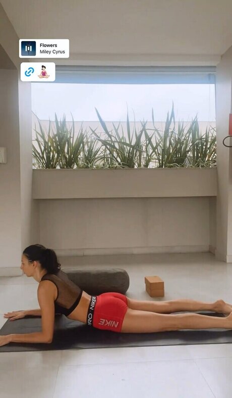 hairy asian onlyfans sexy nude archive