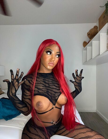 cazeboo star perfect galleries