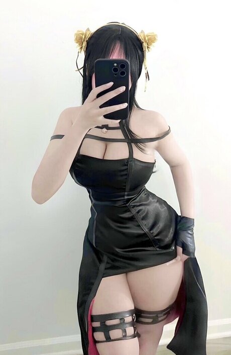 miitofu high quality star gallery